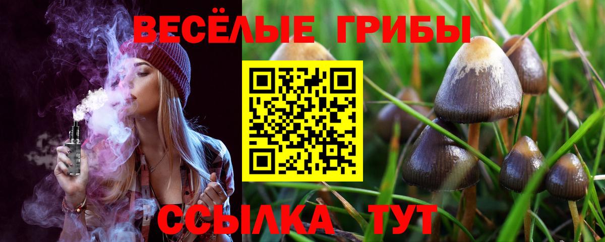Галлюциногенные грибы Psilocybe Алексин