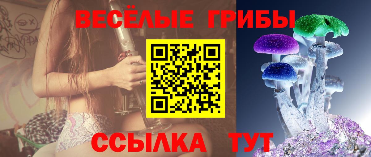 Галлюциногенные грибы Psilocybe  Галлюциногенные грибы MAGIC MUSHROOMS  Алексин  Вход с VPN 